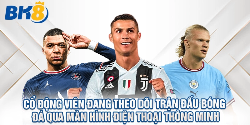 Cổ động viên đang theo dõi trận đấu bóng đá qua màn hình điện thoại thông minh