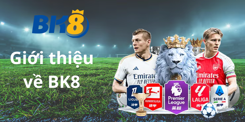 Giới thiệu về nhà cái cá cược thể thao BK8